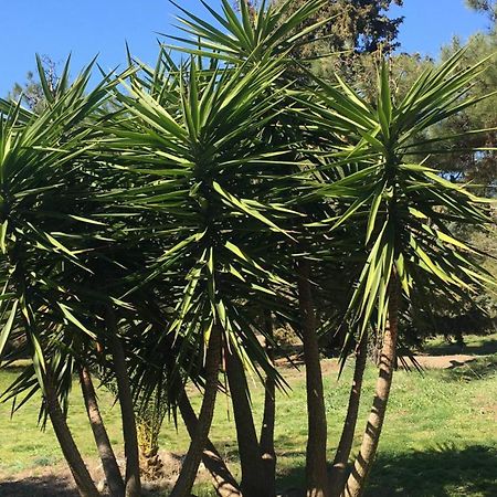 אמוליאני Casa Natura מראה חיצוני תמונה