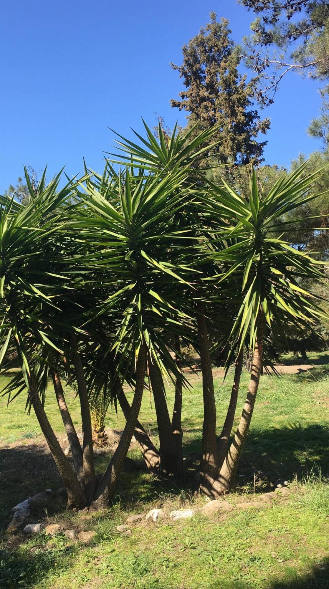 אמוליאני Casa Natura מראה חיצוני תמונה