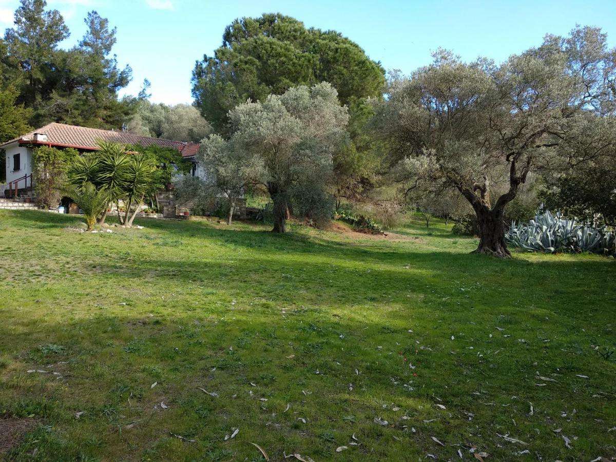 אמוליאני Casa Natura מראה חיצוני תמונה